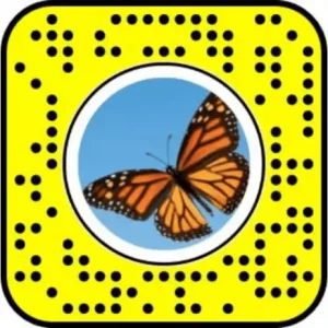 Butterflies Lens